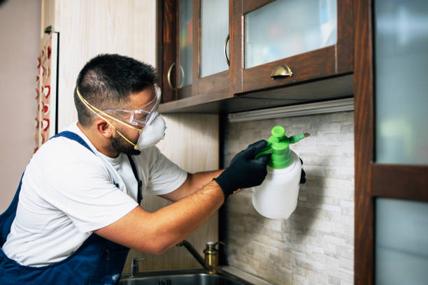 Best Best Pest Control Companies  in North Laurel, MD