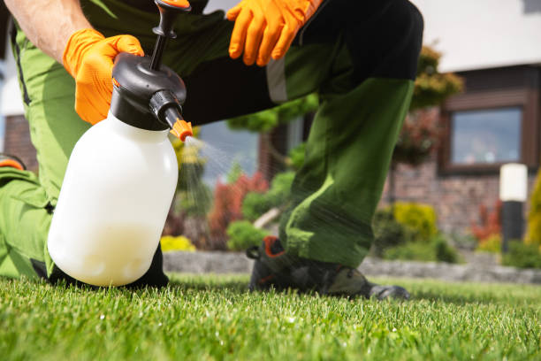 Best Mosquito Control Services  in North Laurel, MD