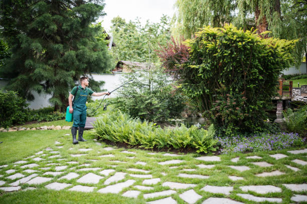 Best Affordable Pest Control Services  in North Laurel, MD