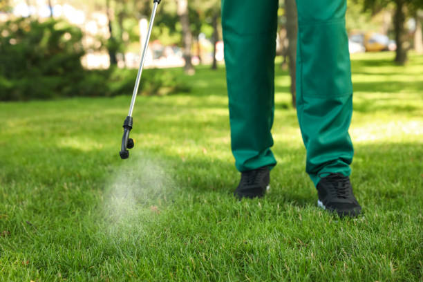 Best Bed Bug Extermination  in North Laurel, MD