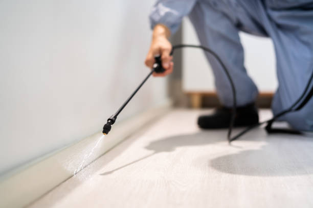 Best Flea Control Services  in North Laurel, MD