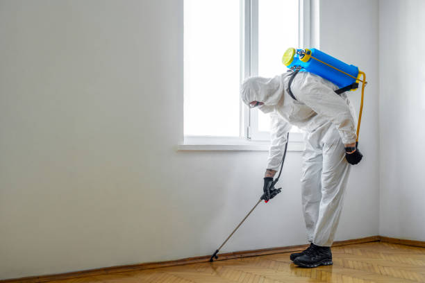 Best Affordable Pest Control Services  in North Laurel, MD