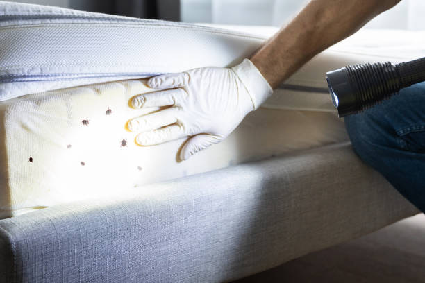 Best Pest Control Near Me  in North Laurel, MD