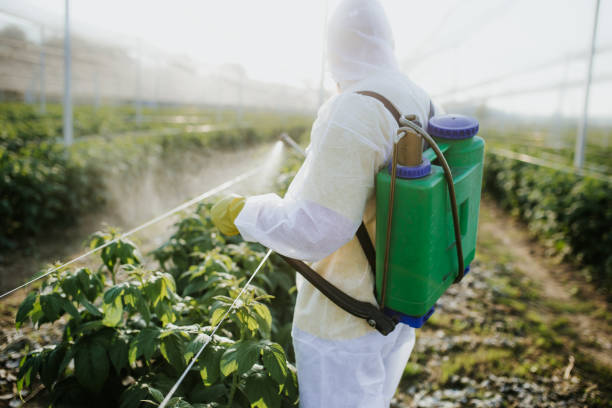 Best Local Pest Control Services  in North Laurel, MD